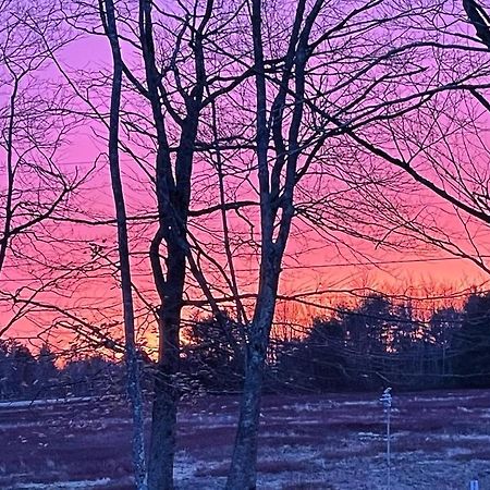 Blueberry Fields Bed & Breakfast Jefferson Esterno foto