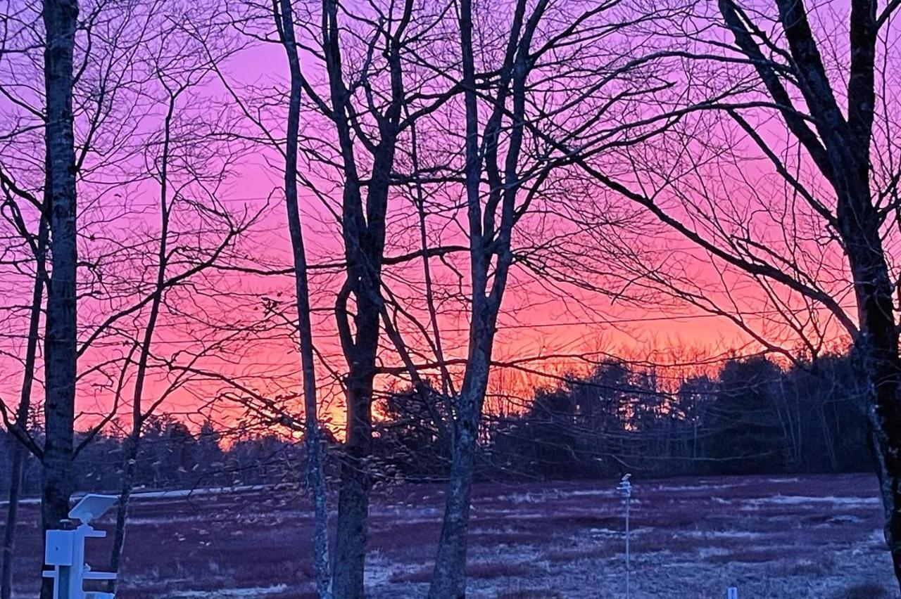 Blueberry Fields Bed & Breakfast Jefferson Esterno foto