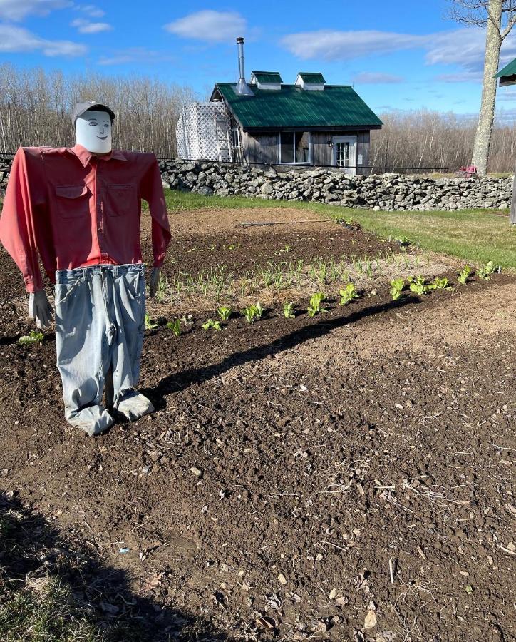 Blueberry Fields Bed & Breakfast Jefferson Esterno foto