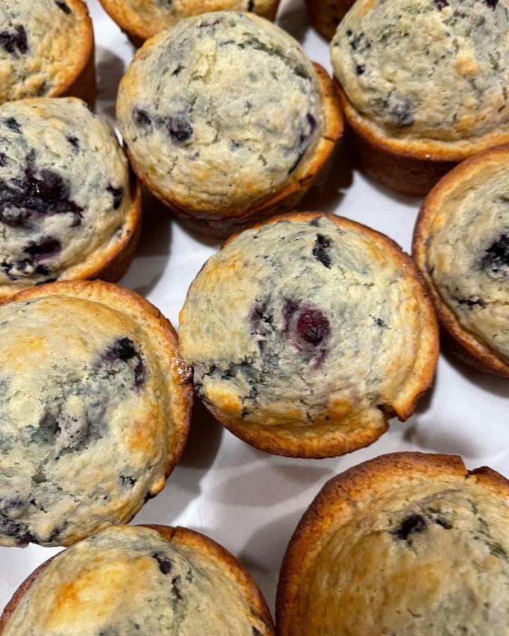 Blueberry Fields Bed & Breakfast Jefferson Esterno foto