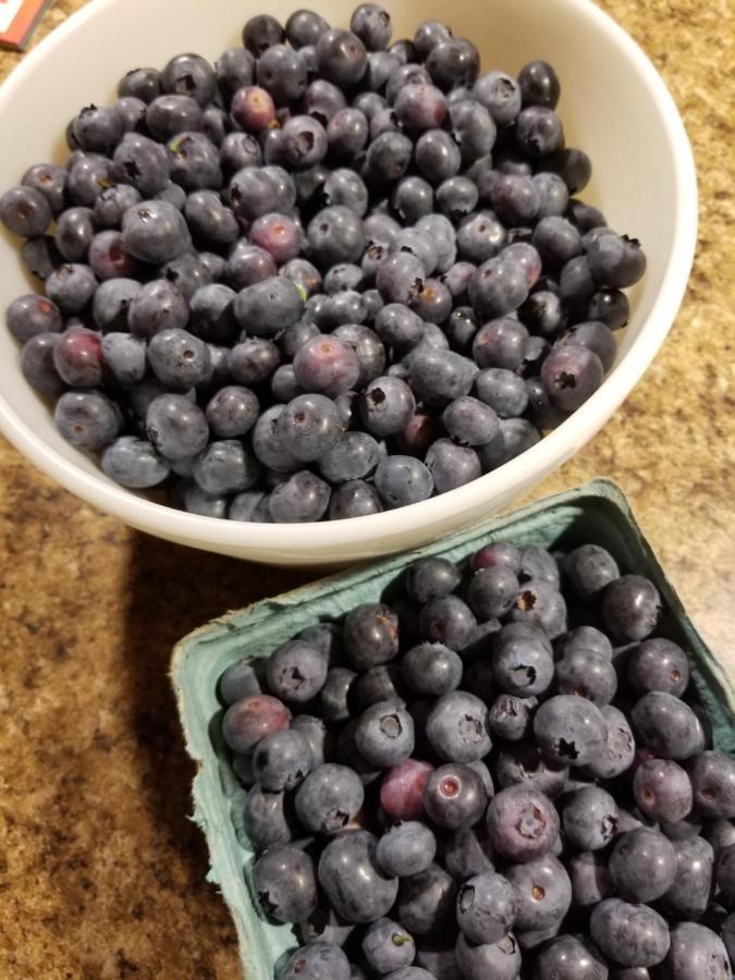 Blueberry Fields Bed & Breakfast Jefferson Esterno foto