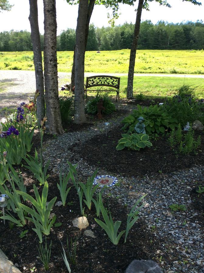 Blueberry Fields Bed & Breakfast Jefferson Esterno foto